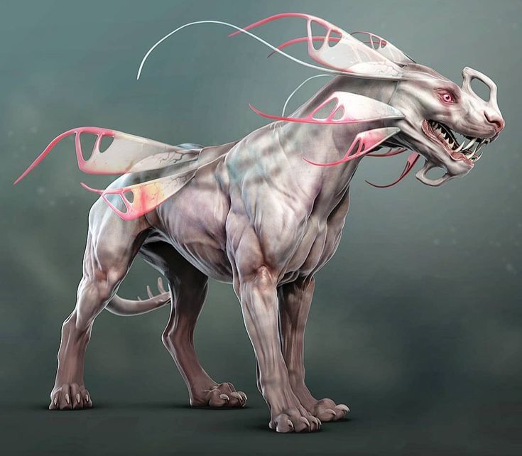 an artistic rendering of a dog with pink lines on it's body and tail