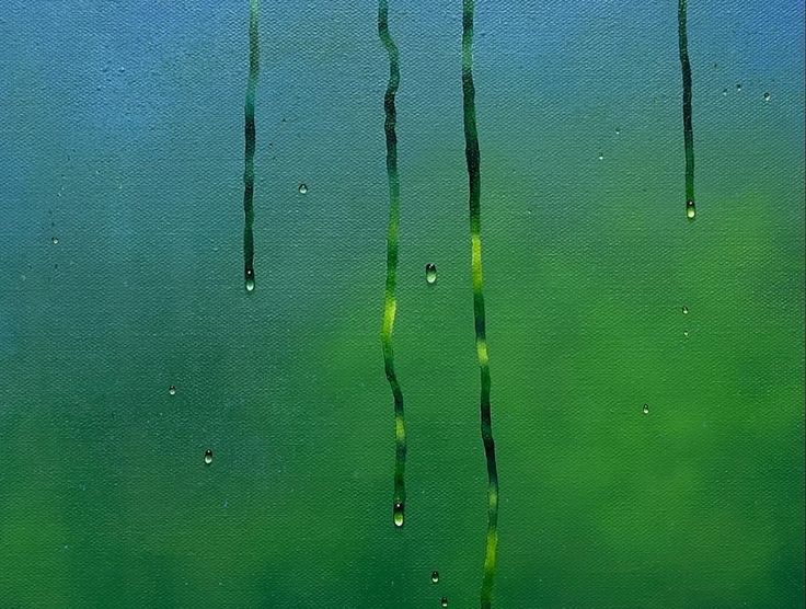 the water is very green and has some thin sticks sticking out of it's surface