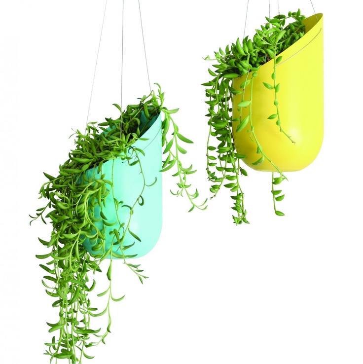 two hanging planters filled with green plants