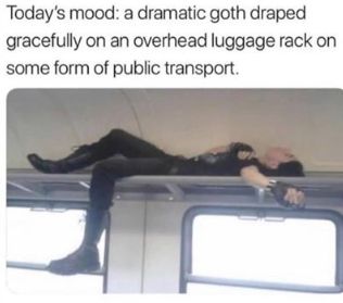 two people laying on top of a train next to each other with caption that reads, today's moot a dramatic goth got trapped gracefully on an overhead luggage rack and some form of public transport