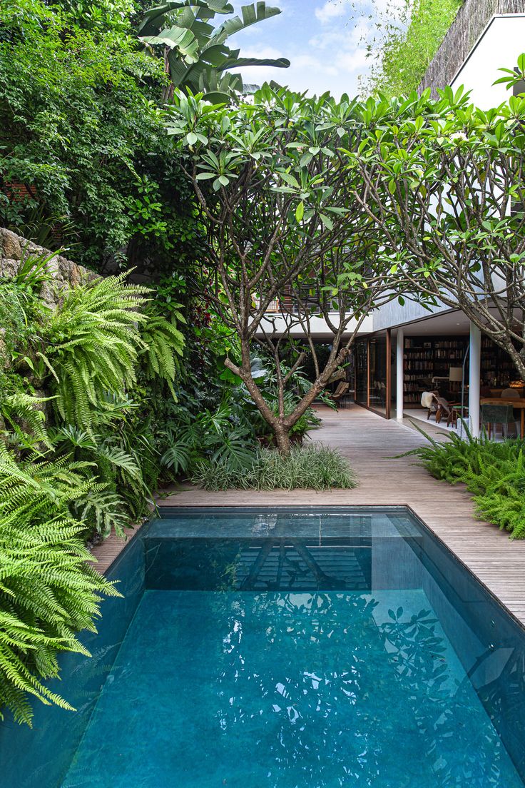 an outdoor swimming pool surrounded by greenery