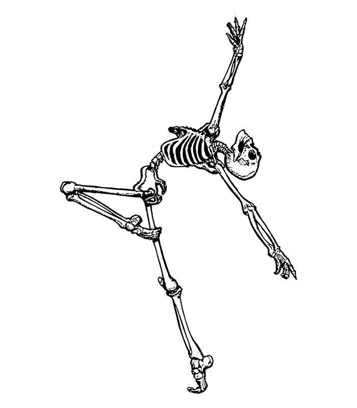 a skeleton is flying through the air with his arms outstretched and legs spread out,