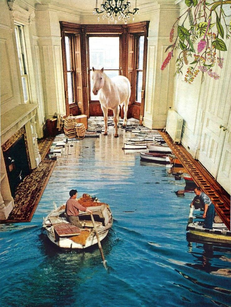 a man in a boat with a cow on the floor