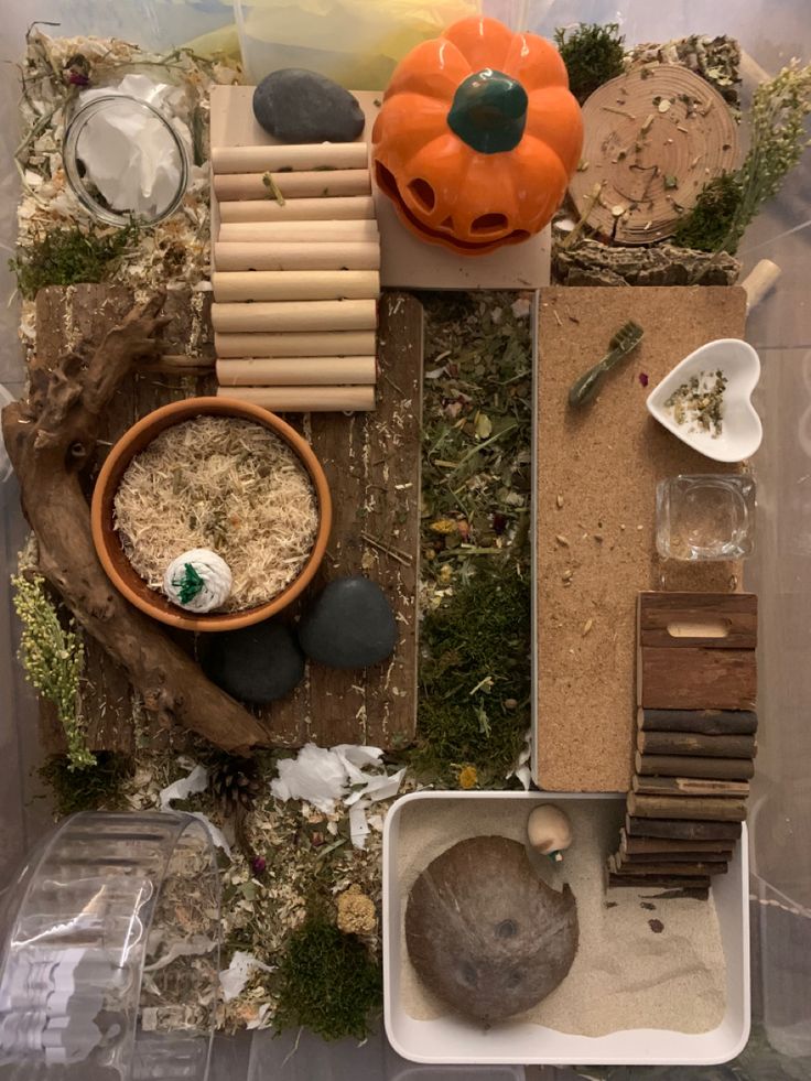 an assortment of rocks, plants and other items in a container on the table top