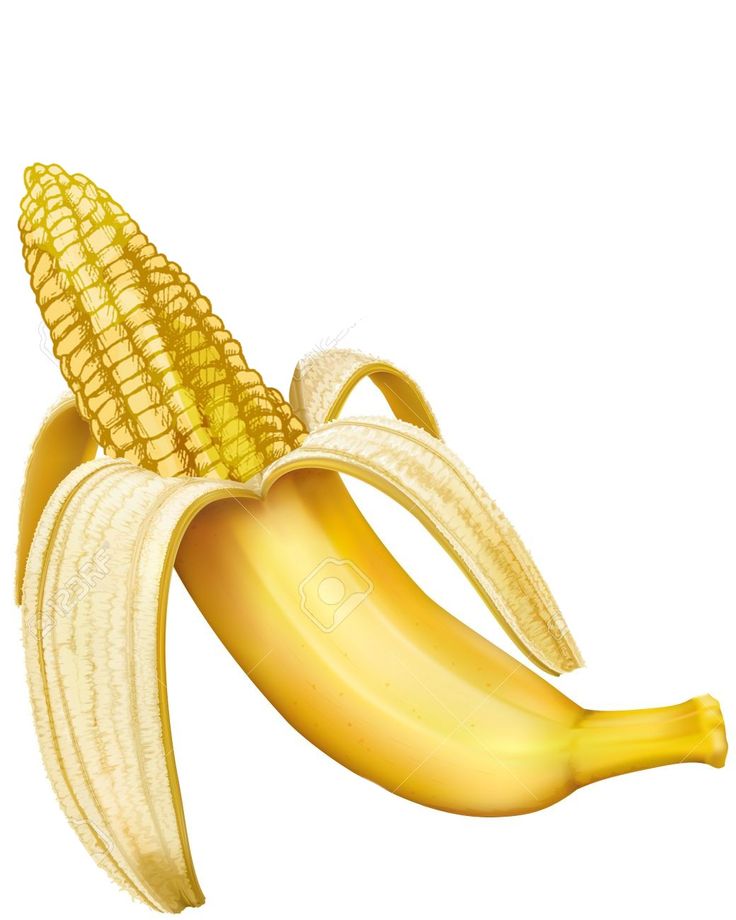 an illustration of a ripe banana and corn on the cob with clippings