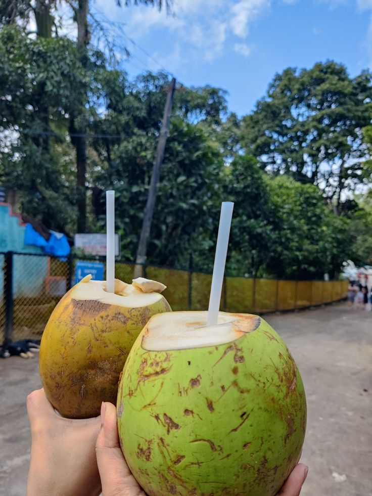 a person holding two coconuts in their hands