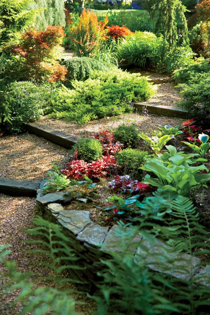 an outdoor garden with lots of plants and flowers on the ground, along with steps leading up to it