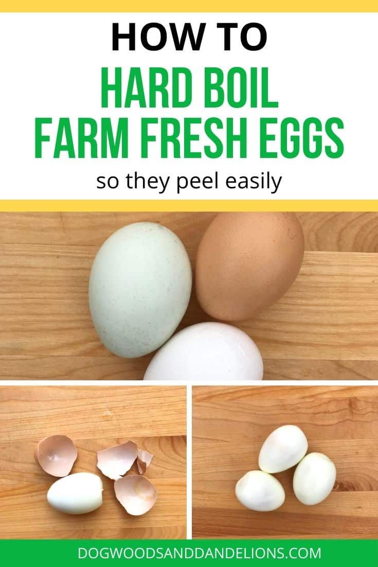 how to hard boil farm fresh eggs so they peel easily and use them for cooking