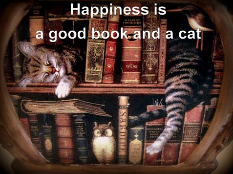 two cats laying on top of a book shelf next to each other with the caption happiness is a good book and a cat