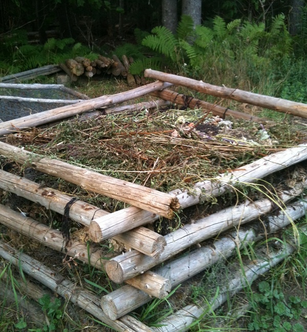 a pile of wood sitting in the middle of a forest