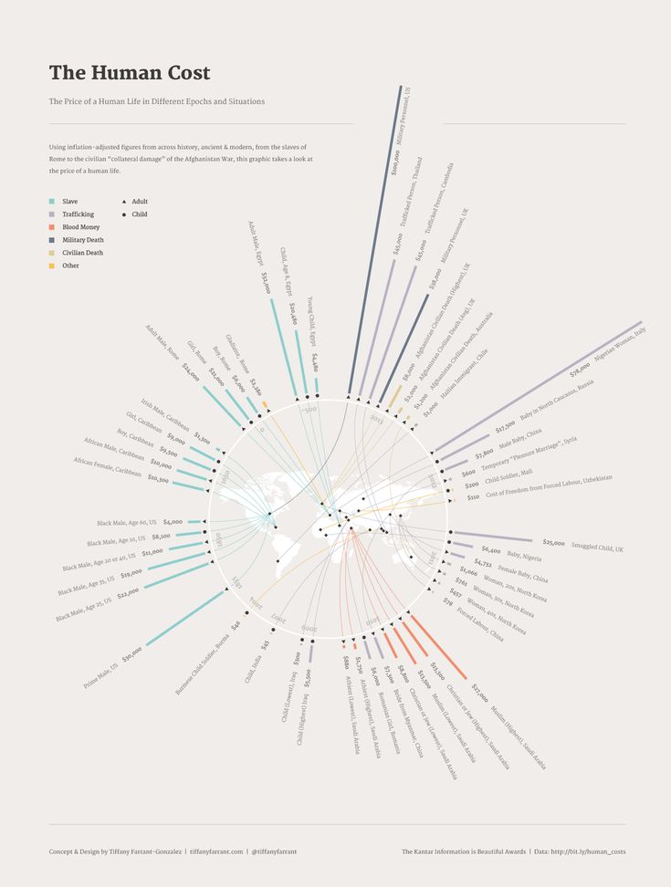 the human cost is shown in this infographal diagram, which shows how much people can