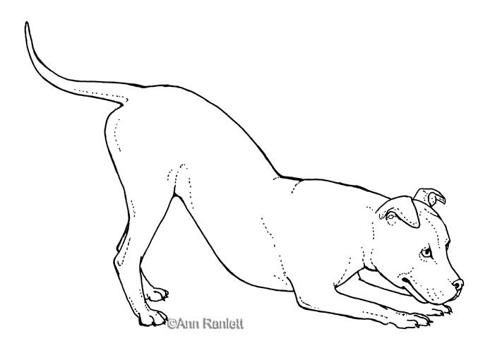 a drawing of a dog laying down on the ground with its head turned to the side