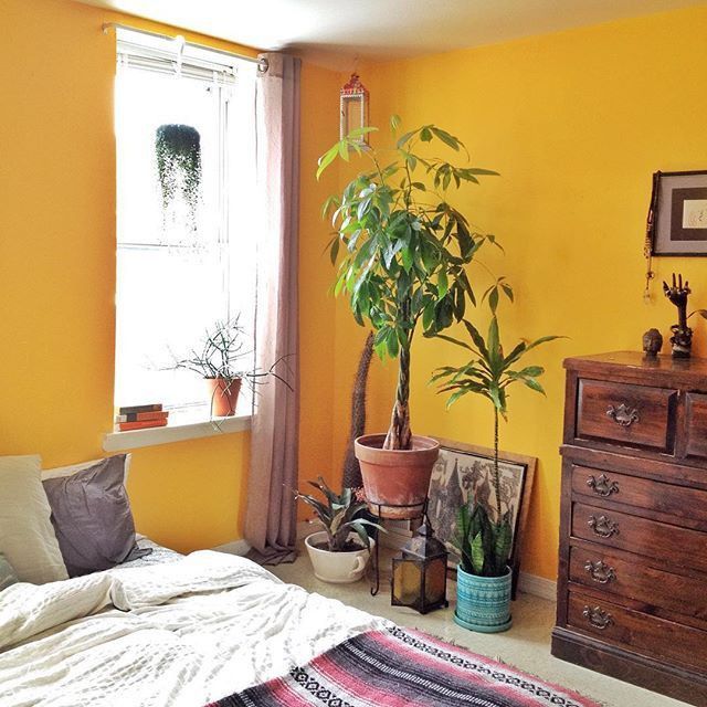 a bed room with a neatly made bed and a potted plant