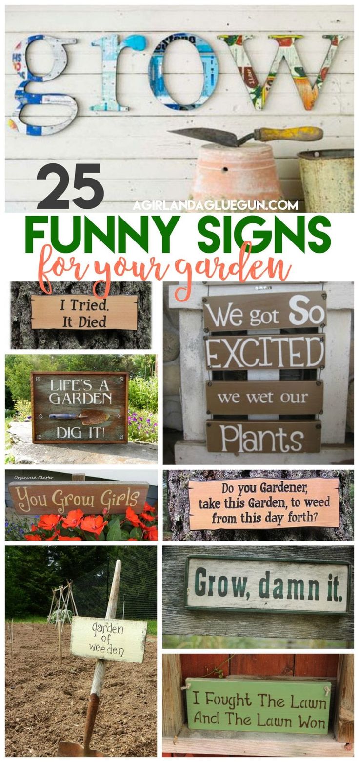 25 funny signs for your garden that are easy to make and great for the yard