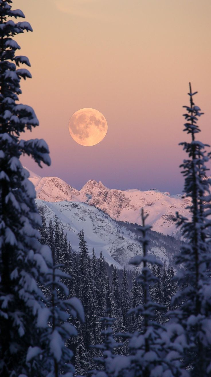 the full moon is seen over snow covered mountains in this wintery scene with pine trees and evergreens