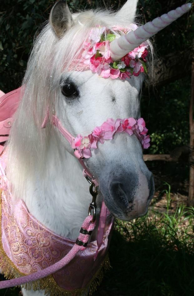 a white horse with pink flowers on it's head wearing a pink and gold dress