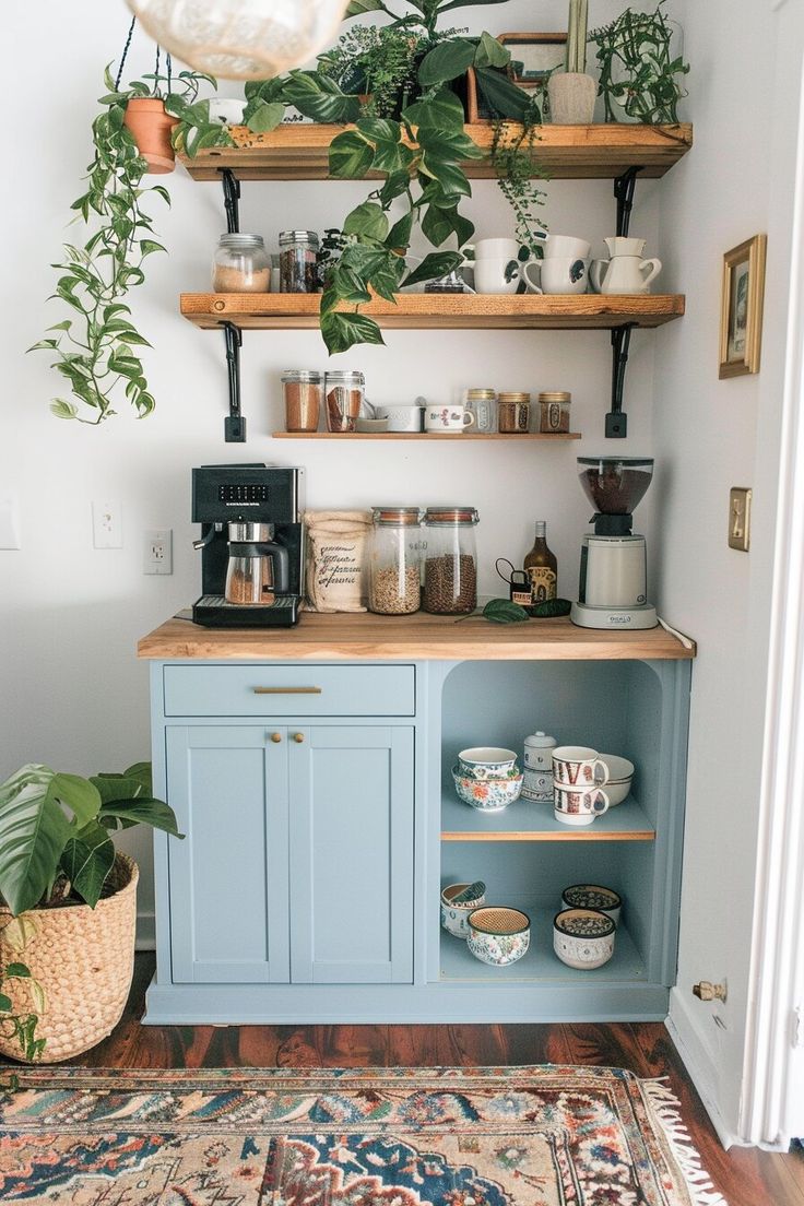 a kitchen with blue cabinets and plants on the shelves