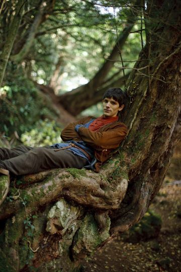 a man is sitting on a tree in the woods