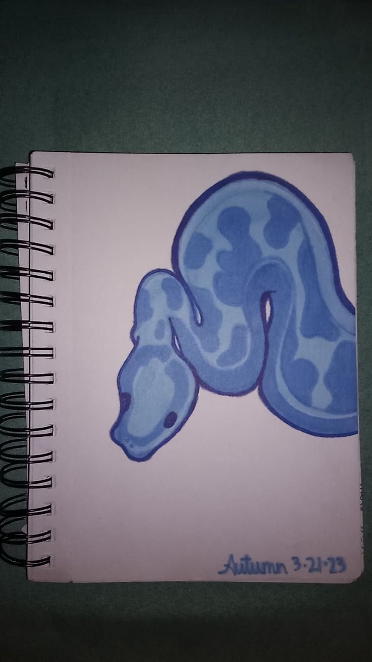 a spiral notebook with an image of a blue snake on it