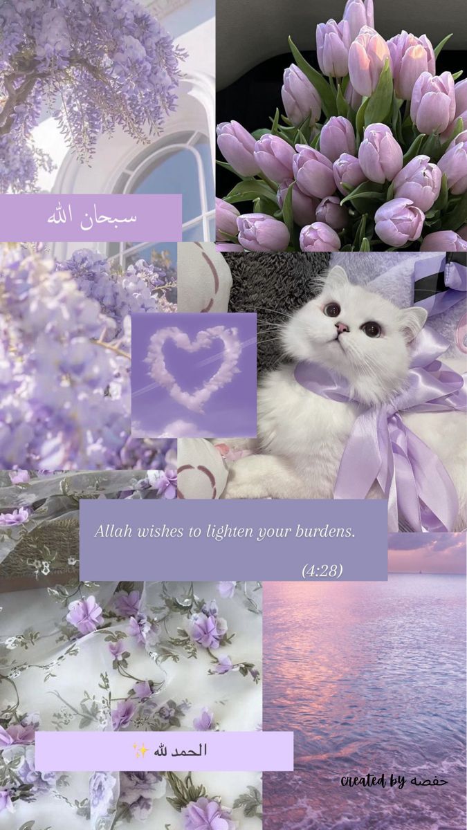 a collage of photos with purple flowers and hearts in the middle one has a white cat on it