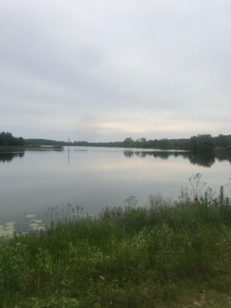 a large body of water sitting next to a lush green field and forest on a cloudy day