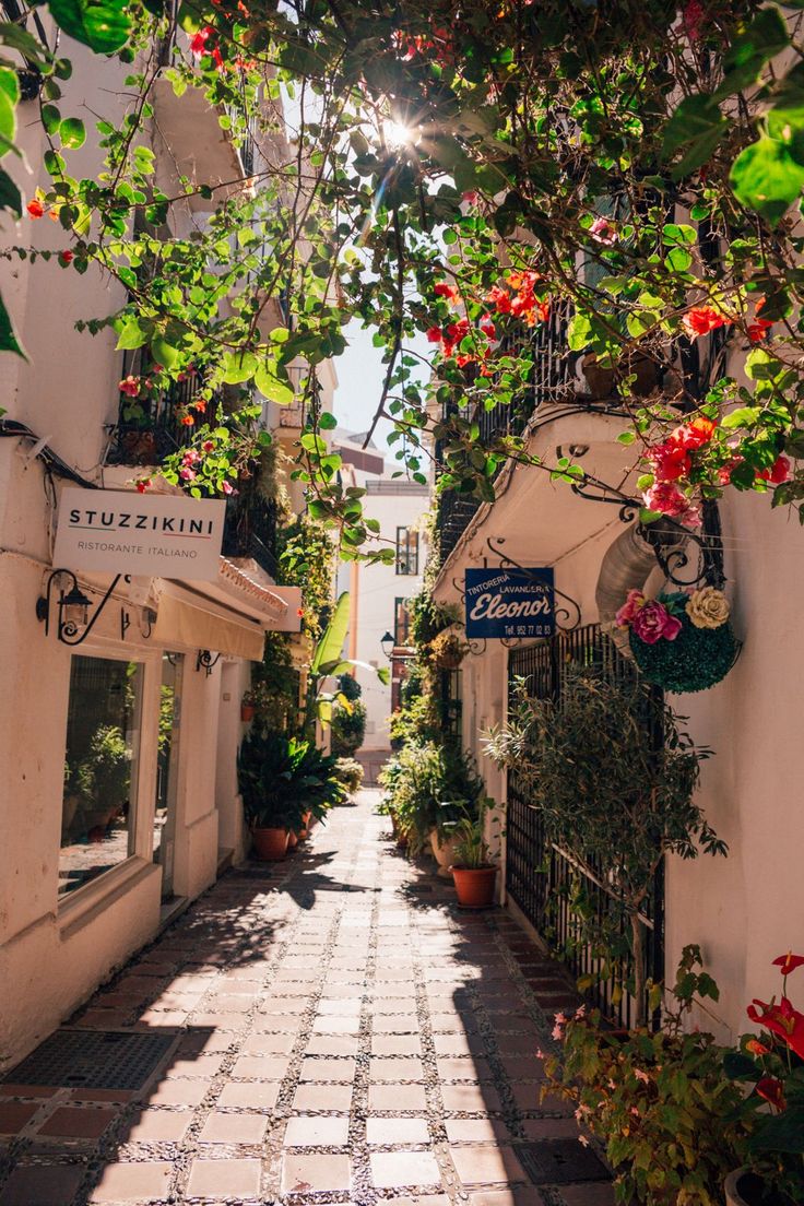 an alleyway with potted plants and flowers on either side, surrounded by white buildings