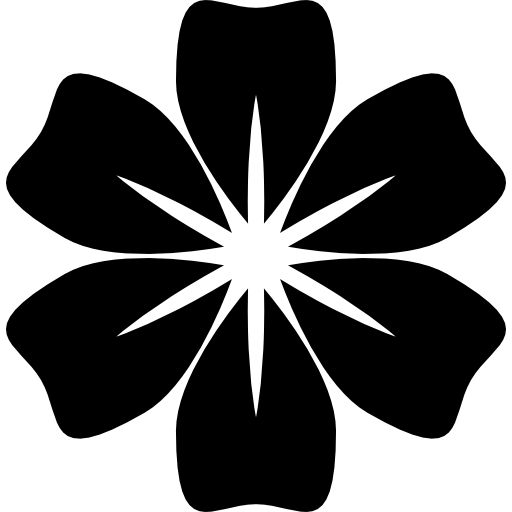 a black and white flower that is in the shape of a star on a white background