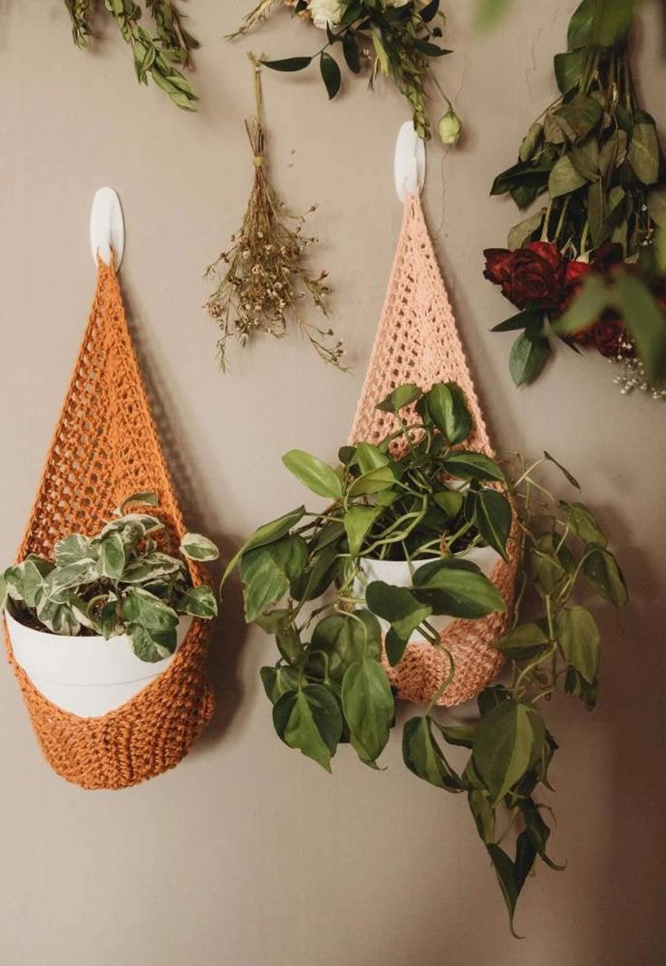 two hanging planters with plants in them on the wall next to a potted plant