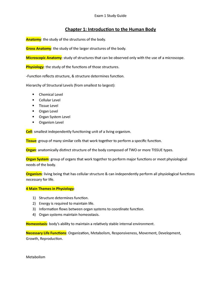 an outline for a research paper on the human body, with yellow lines in it