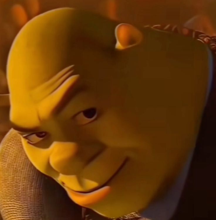 Memes Pictures Mood Edits, Shrek Side Eye, Angry Meme Funny, Square Up Meme Funny, Meme Face Funny Icons, 512x512 Pfp Funny, Smirk Memeable Face, Reaction Memes Faces, Shrek Funny Face