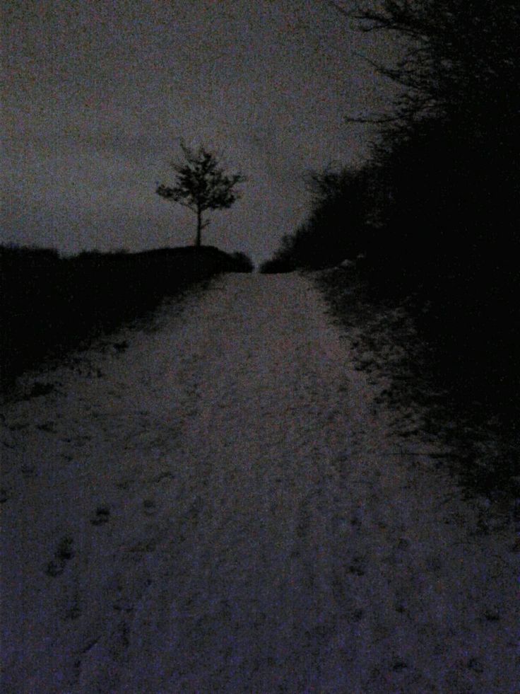 a lone tree in the middle of a snow covered road at night with dark clouds