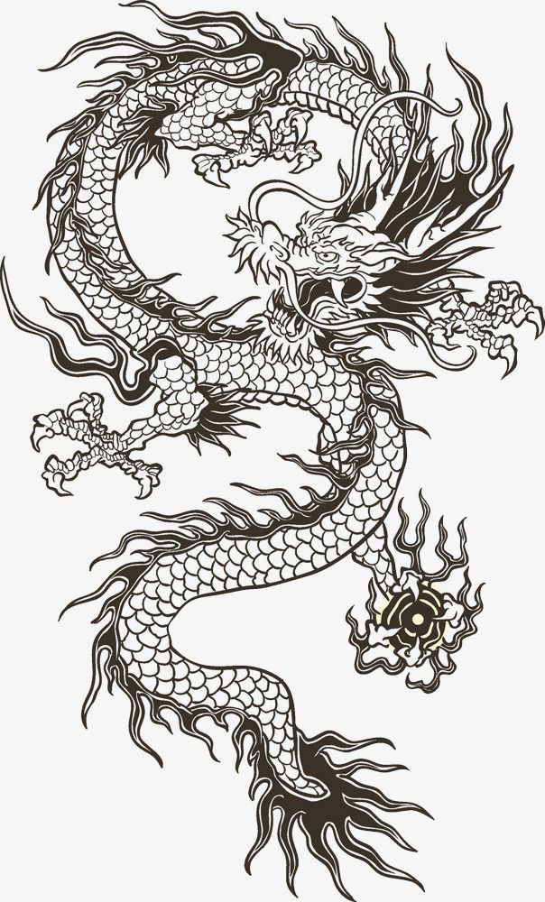 Chinese Clipart, Dragon Line, Rose Line Art, Dragons Tattoo, Dragon Tattoo Art, Chinese Dragon Tattoos, Japanese Dragon Tattoo, Dragon Tattoo For Women, Japanese Dragon Tattoos