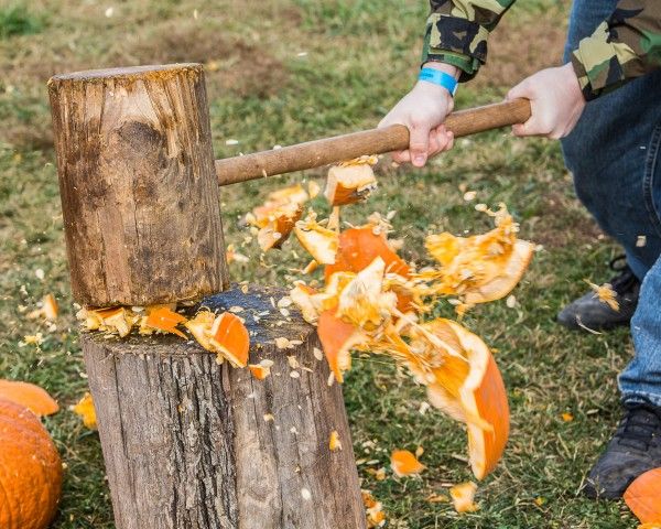 Pumpkin Patch Ideas Festivals, Ag Olympics, Agritourism Ideas, Pumpkin Patch Decoration, Pumpkin Patch Activities, Halloween Birdhouse, Harvest Games, Halloween Farm, It Pumpkin