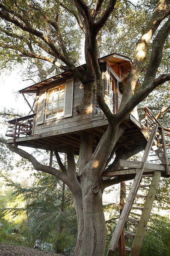 a tree house built into the side of a large tree