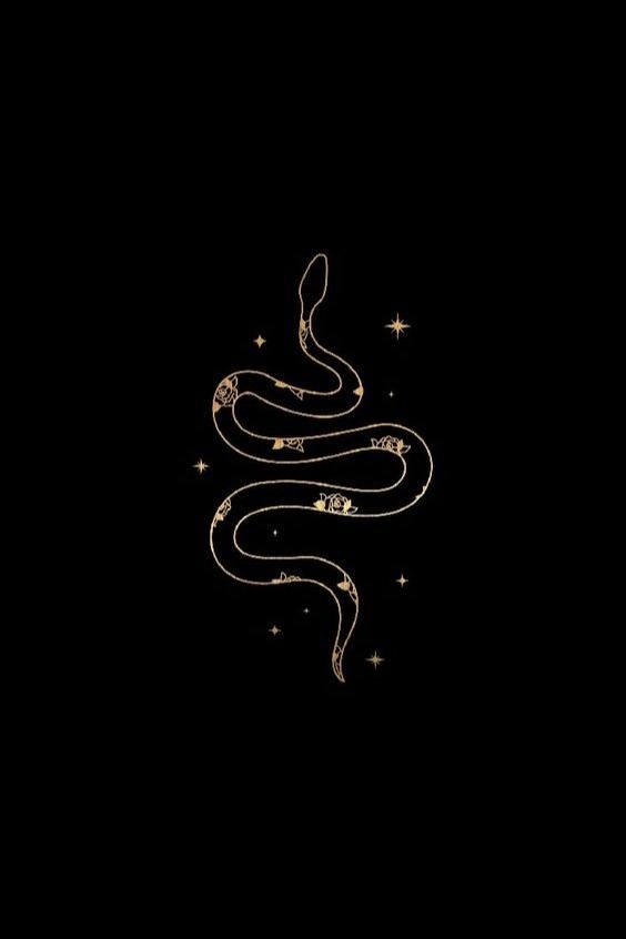 a gold snake on a black background, with stars in the sky above it and an inscription