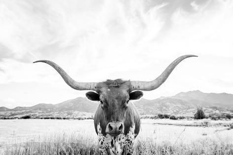 a bull with long horns standing in the grass near mountains and clouds on a cloudy day