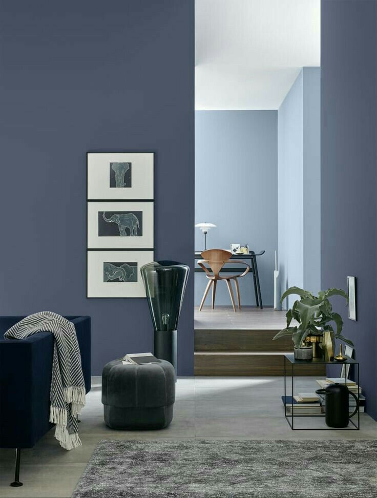 a living room with blue walls and grey carpeted flooring is pictured in this image