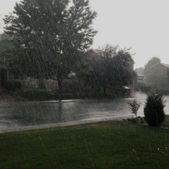 an image of rain coming down on the street and trees in the yard with no one around