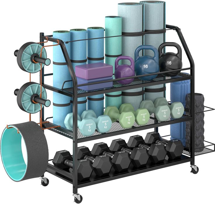 a rack filled with dumbs, weights and other items