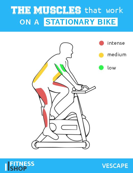 the muscles that work on a stationary bike