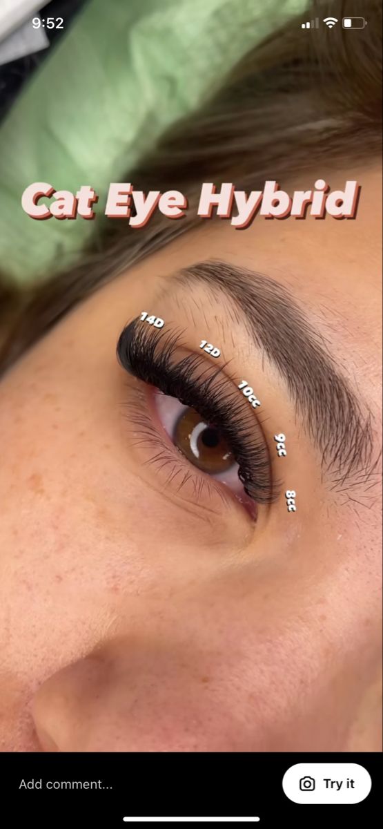 Eyelash Extensions Styles Map, Hybrid Eyelash Extensions Mapping, Hybrid Lash Extensions Map Cat Eye, Hybrid Light Volume Lash Extensions, Lash Sets For Almond Eyes, Short Wispy Lash Extensions Mapping, Mini Lash Extensions, Cat Hybrid Lash Extensions, Hybrid Cat Eye Extensions