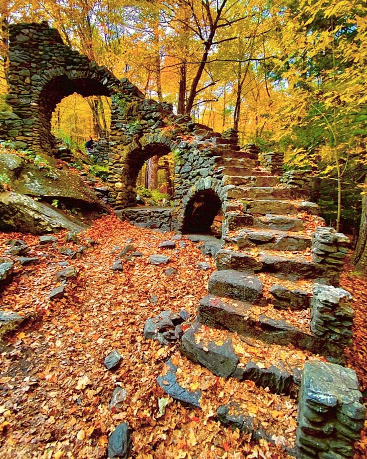 an old stone structure in the woods surrounded by leaves and fallen trees with stairs leading up to it