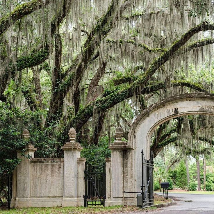 an old gate is surrounded by trees with spanish moss hanging from it's branches