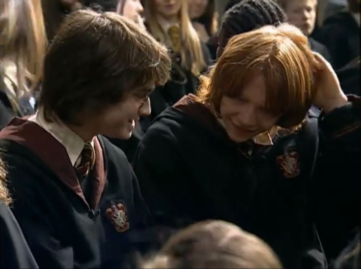 harry potter and hermione's friends in the audience