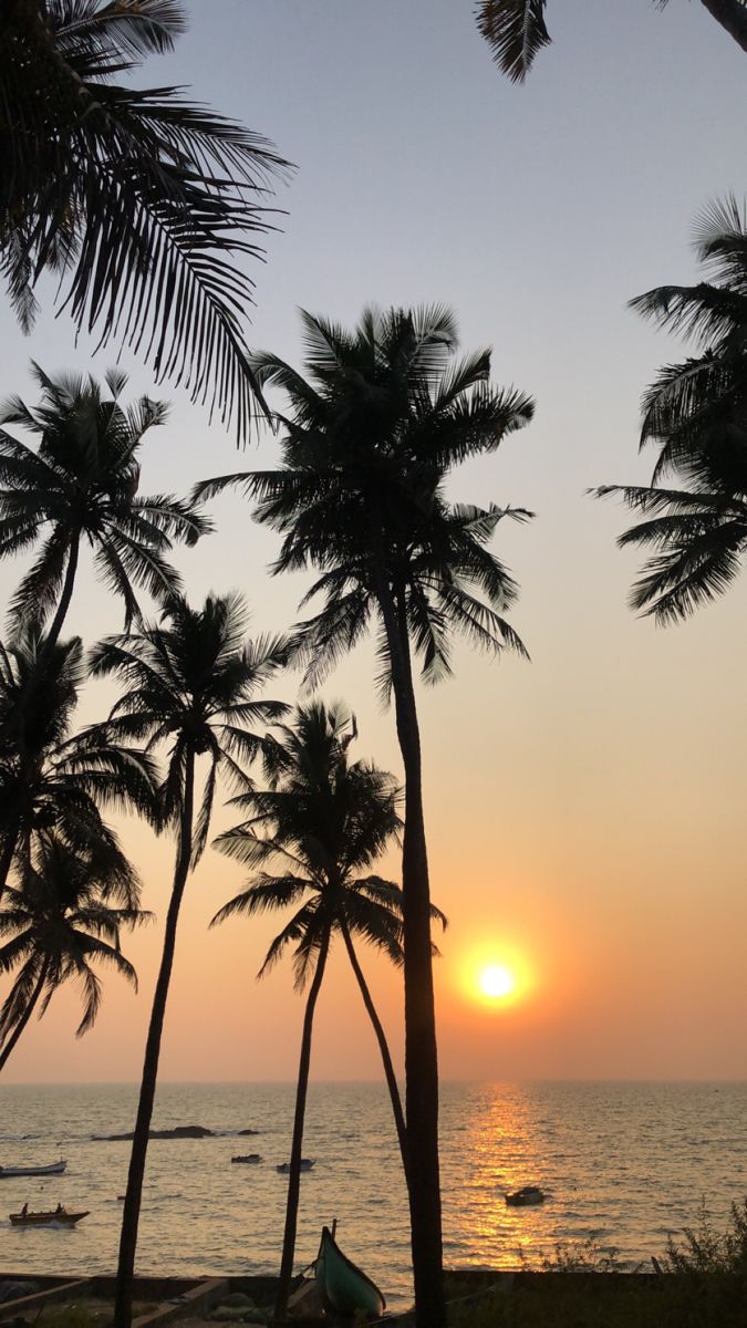 the sun is setting behind palm trees on the beach with boats in the water below