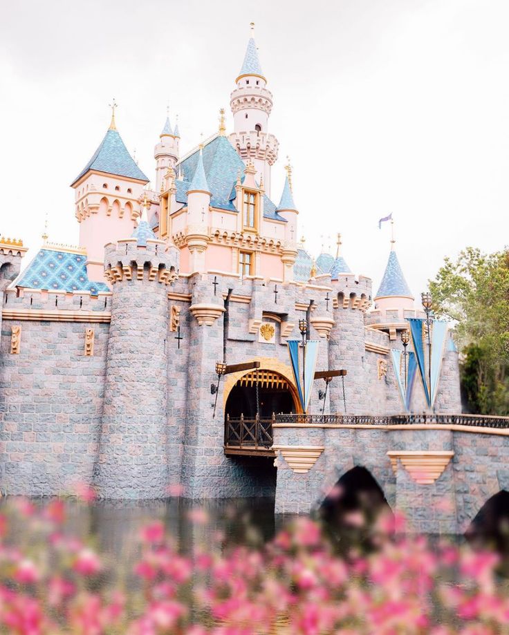 an image of a castle with flowers in the foreground