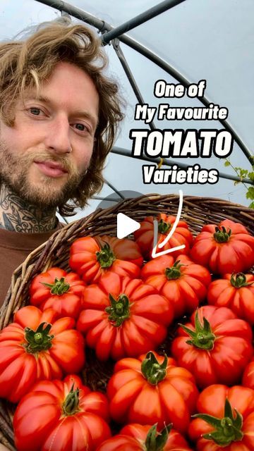 a man holding a basket filled with lots of red tomatoes in front of him and the caption that says, one of my favorite tomato varieties