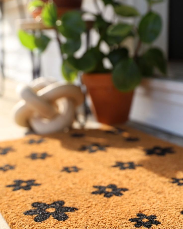 a potted plant sitting on top of a door mat