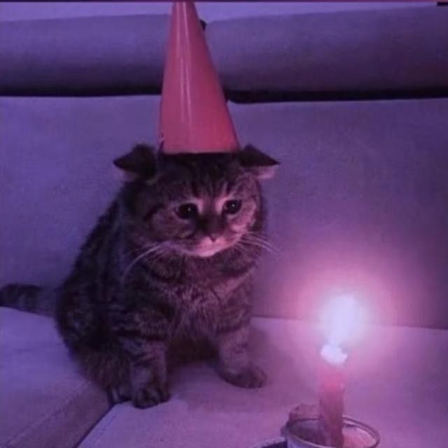 a cat wearing a party hat sitting next to a lit candle