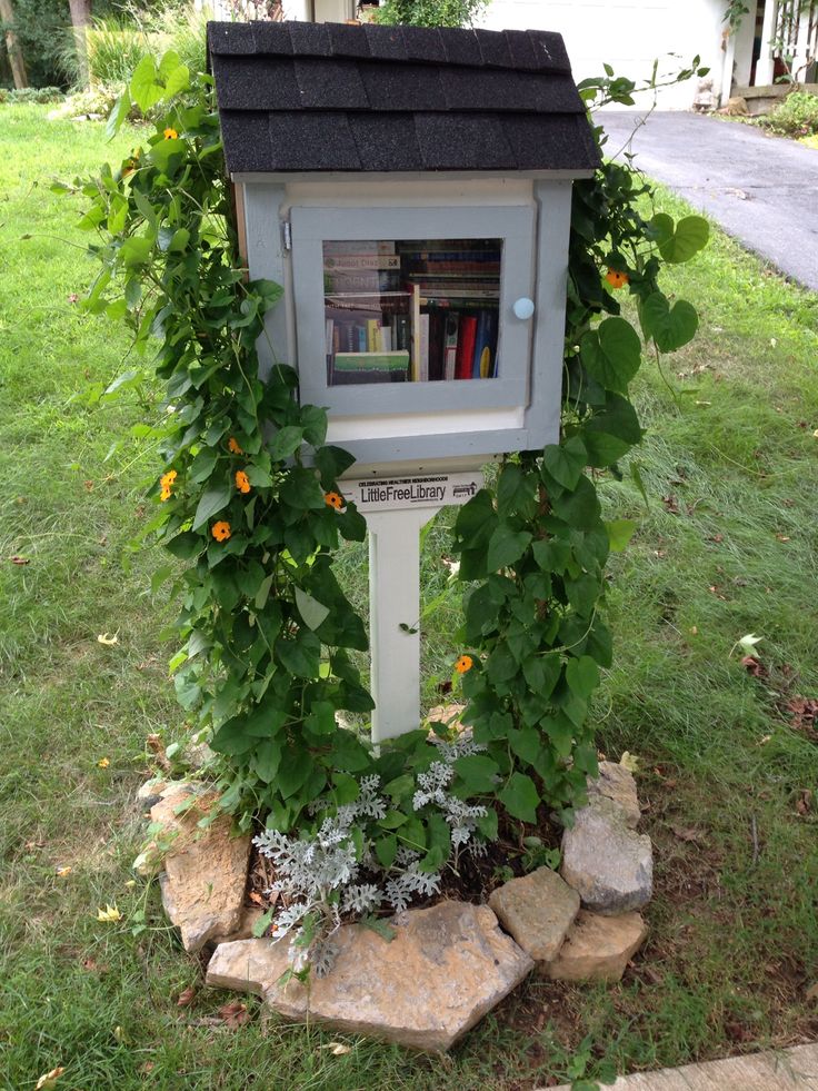 a book shelf is covered with vines and flowers in the grass next to some rocks